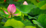 DSC05820