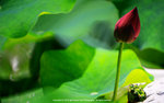 DSC05860
