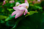 P6100037