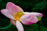 P6100071