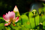 P6100304
