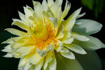 P6100347