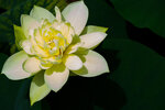 P6100361