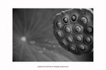 DSC_1976
