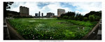 Macau_pano_1