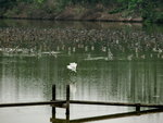 P4158969