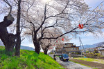 DSC01239