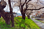 DSC01240