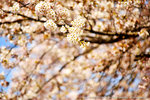 DSC01906