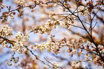 DSC01911