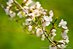 DSC01919