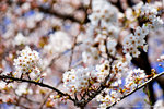 DSC01927