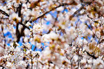 DSC01935