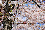 DSC01937