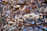 DSC01941