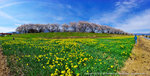 Panorama2