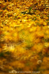 DSC01563