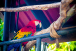 DSCF0075