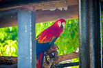 DSCF0076