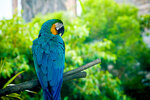 DSCF0078