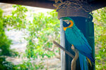 DSCF0079