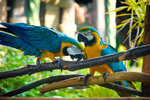 DSCF0081