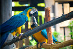 DSCF0083