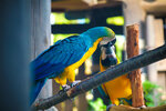 DSCF0085
