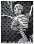 P9030304