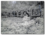 P9030308