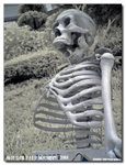 P9030311