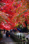 DSC00005