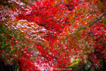 DSC00007