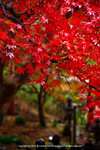 DSC00019