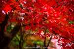 DSC00020
