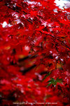 DSC00025
