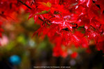 DSC00029