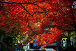 DSC00057