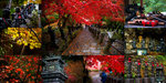 DaiShaChi