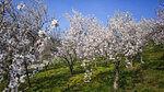 IMG_20260323_083945