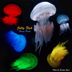 Jelly-Cover