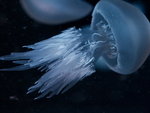 P9033762