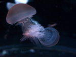 P9034037