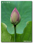 P1080371