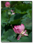 P1080404