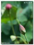 P1080414