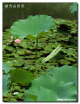 P1080419