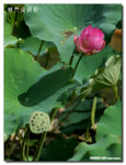 P1080420
