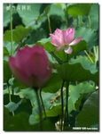 P1080444