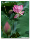 P1080447